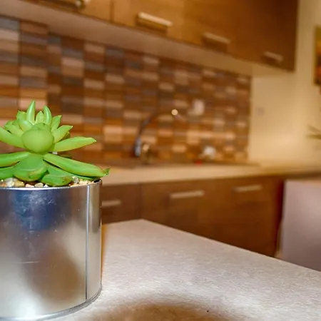 Guest بيت ريفي