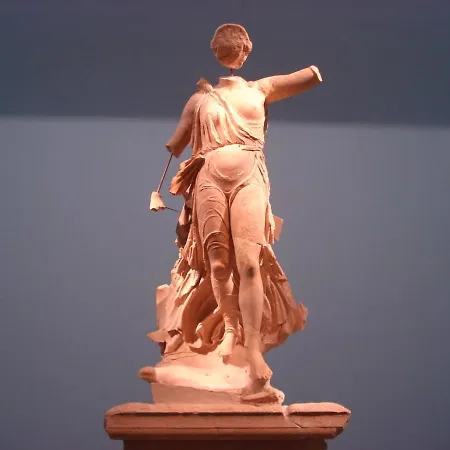 Guest بيت ريفي