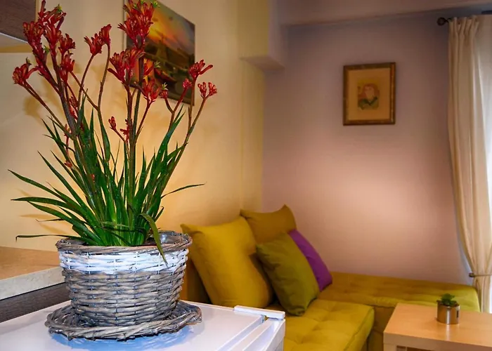 Guest * 올림피아